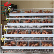 2017 Hot Sale 96 Birds Chicken Layer Cage In Philippines